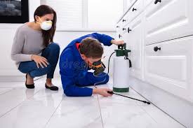 Best Bed Bug Extermination  in Toftrees, PA